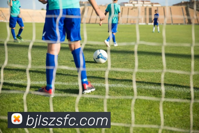 百家乐网站平台生态图